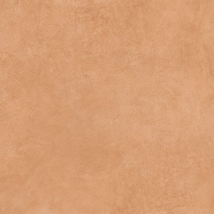 TERRA